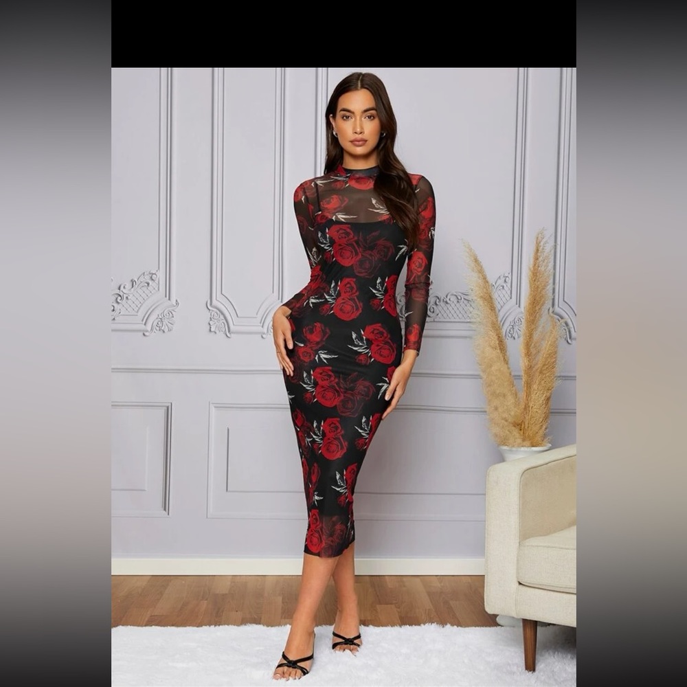 Bodycon mesh long sleeve dress
